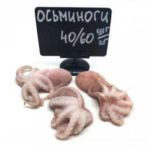 Осьминоги молодые
