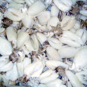 каракаты